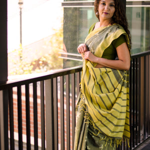 Two tone olive green Sambalpuri cotton ikat saree with all over butterfly motifs.